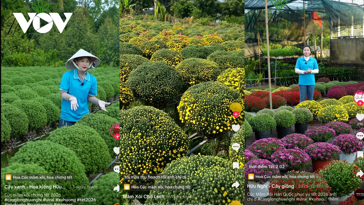 Nhộn nhịp chợ hoa Tết online: Nhà vườn vào vụ sớm, người mua tiện lợi hơn